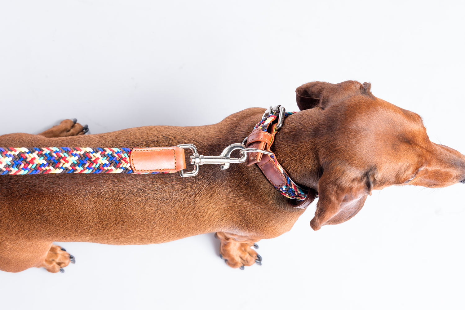 SAVANNAH LEASH - PLAID SPARKIE