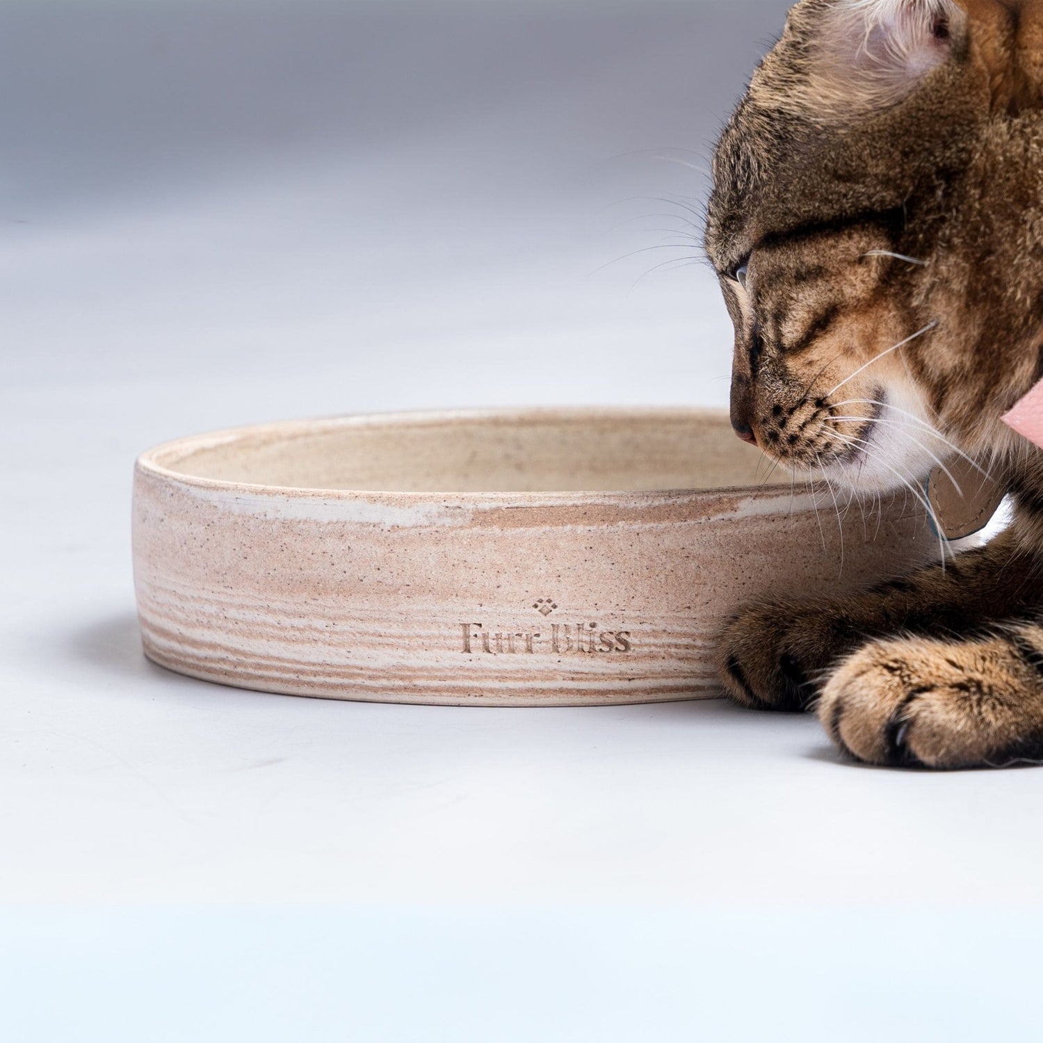 Jersey Bowl