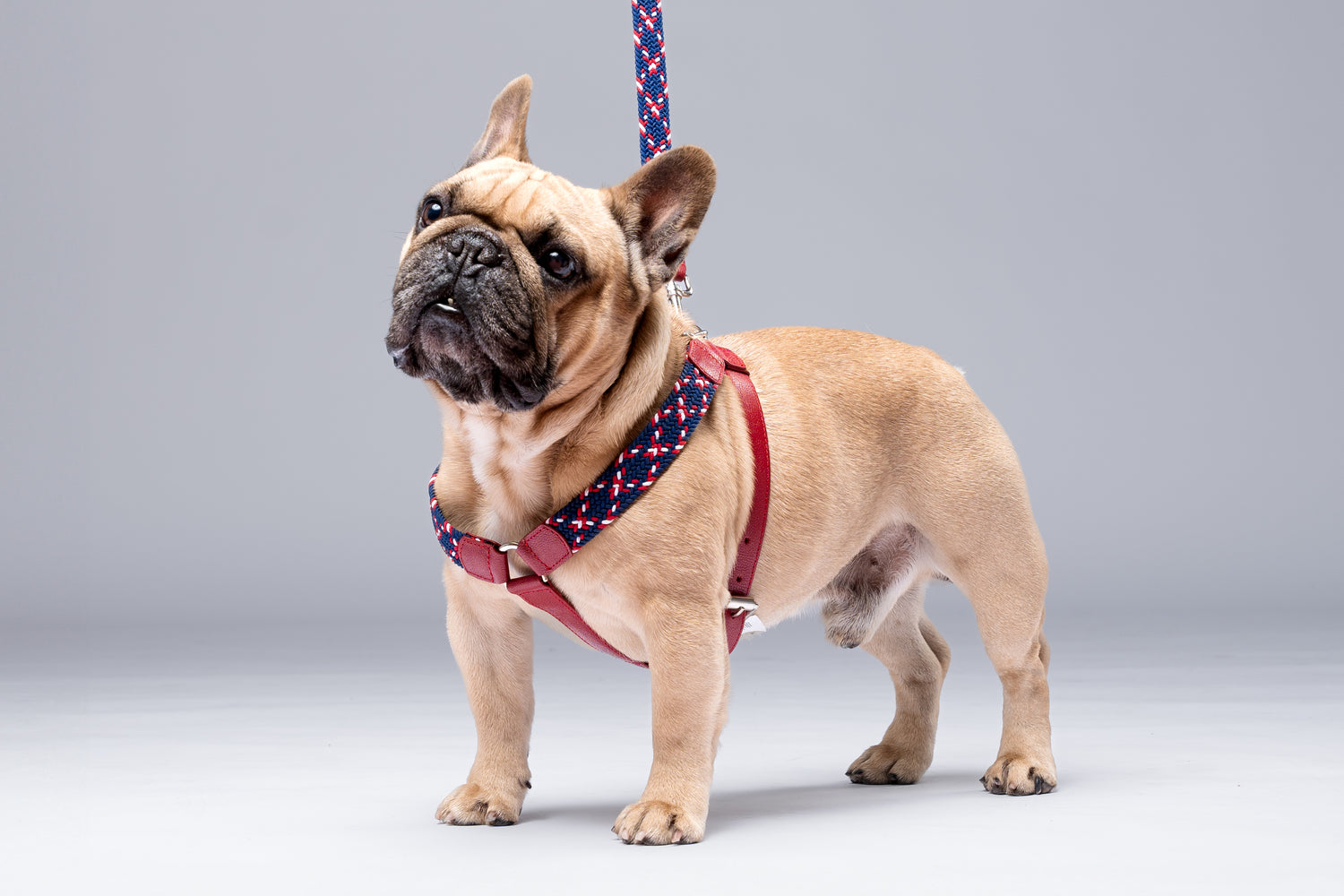 NIMBUS HARNESS - PLAID NAVY BLUE