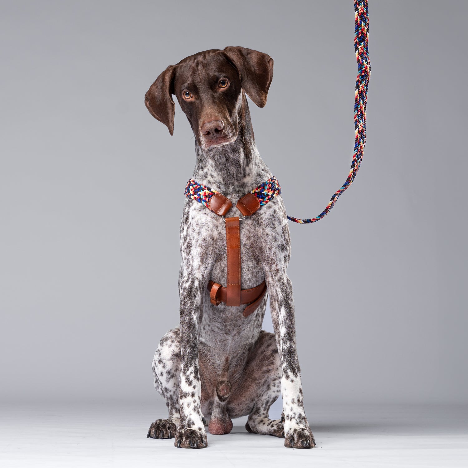 NIMBUS HARNESS - PLAID SPARKIE