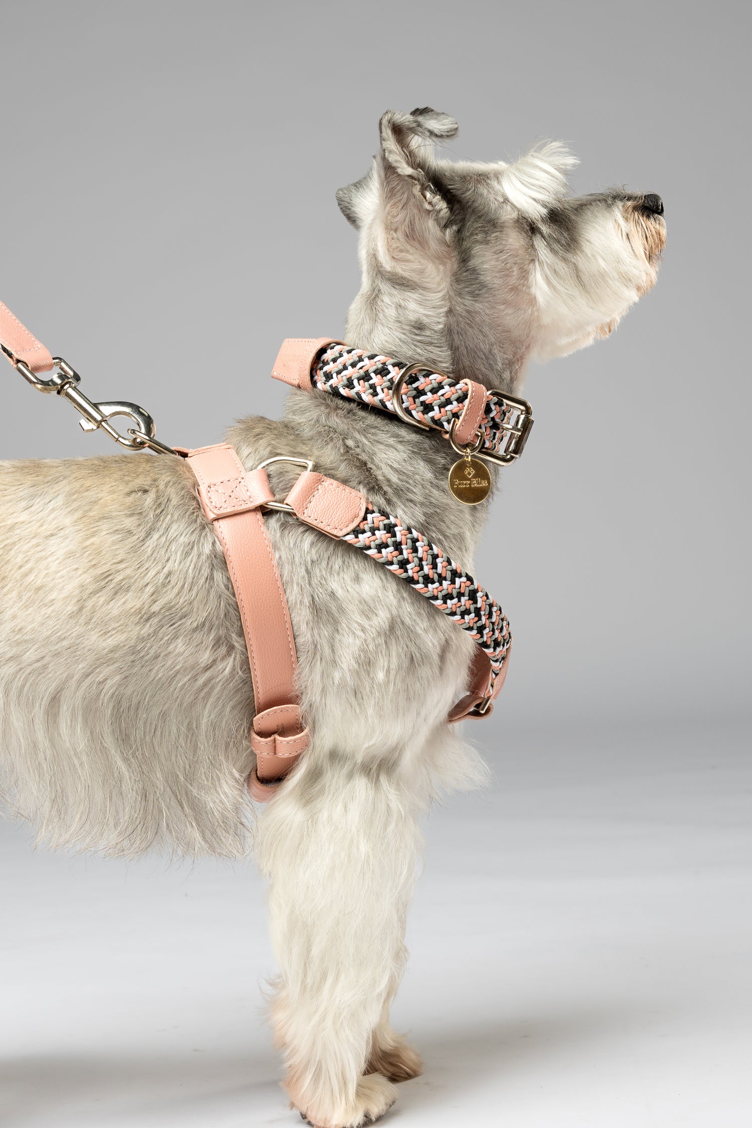 NIMBUS HARNESS - PLAID PINK