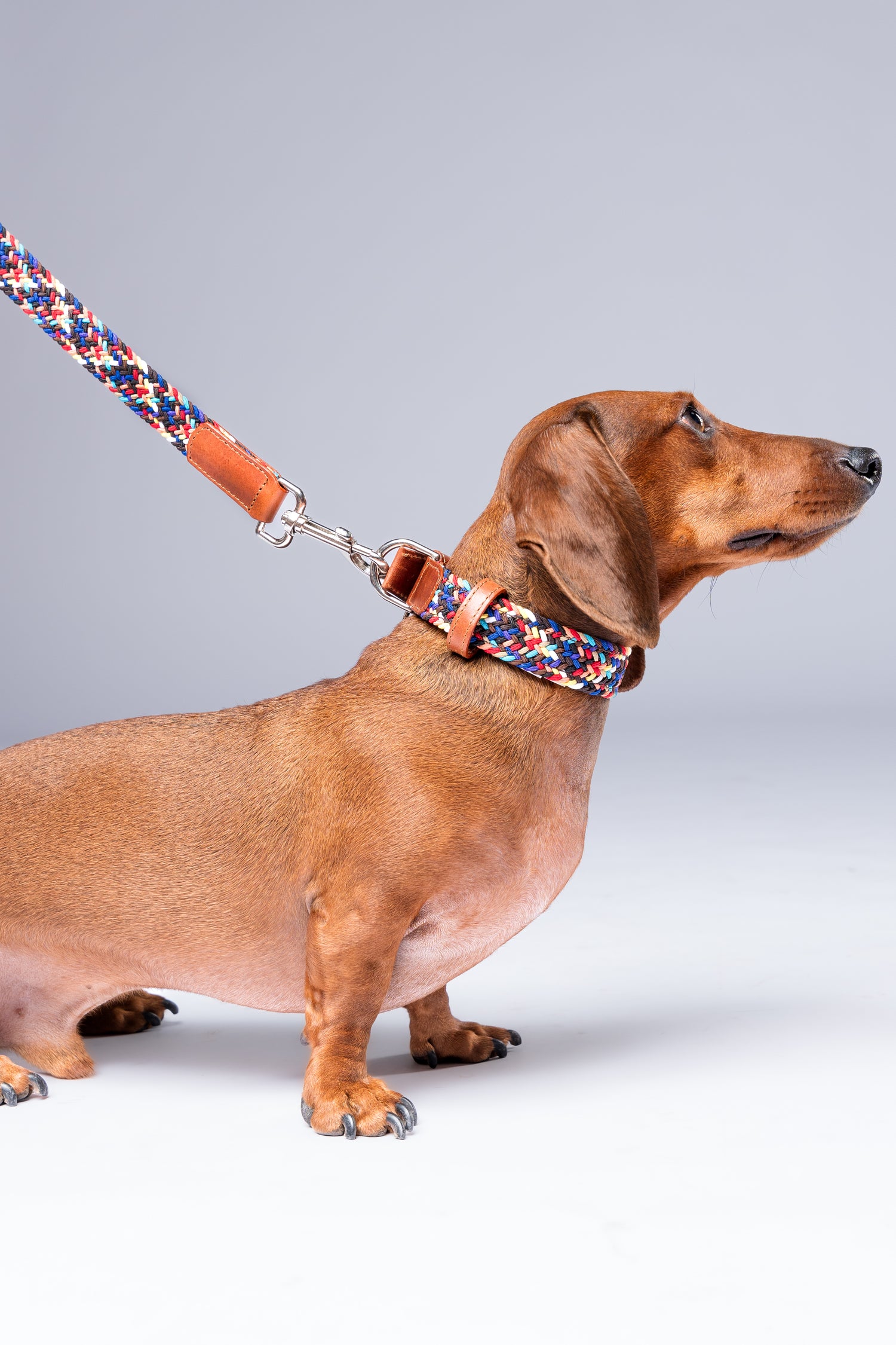 SAVANNAH LEASH - PLAID SPARKIE