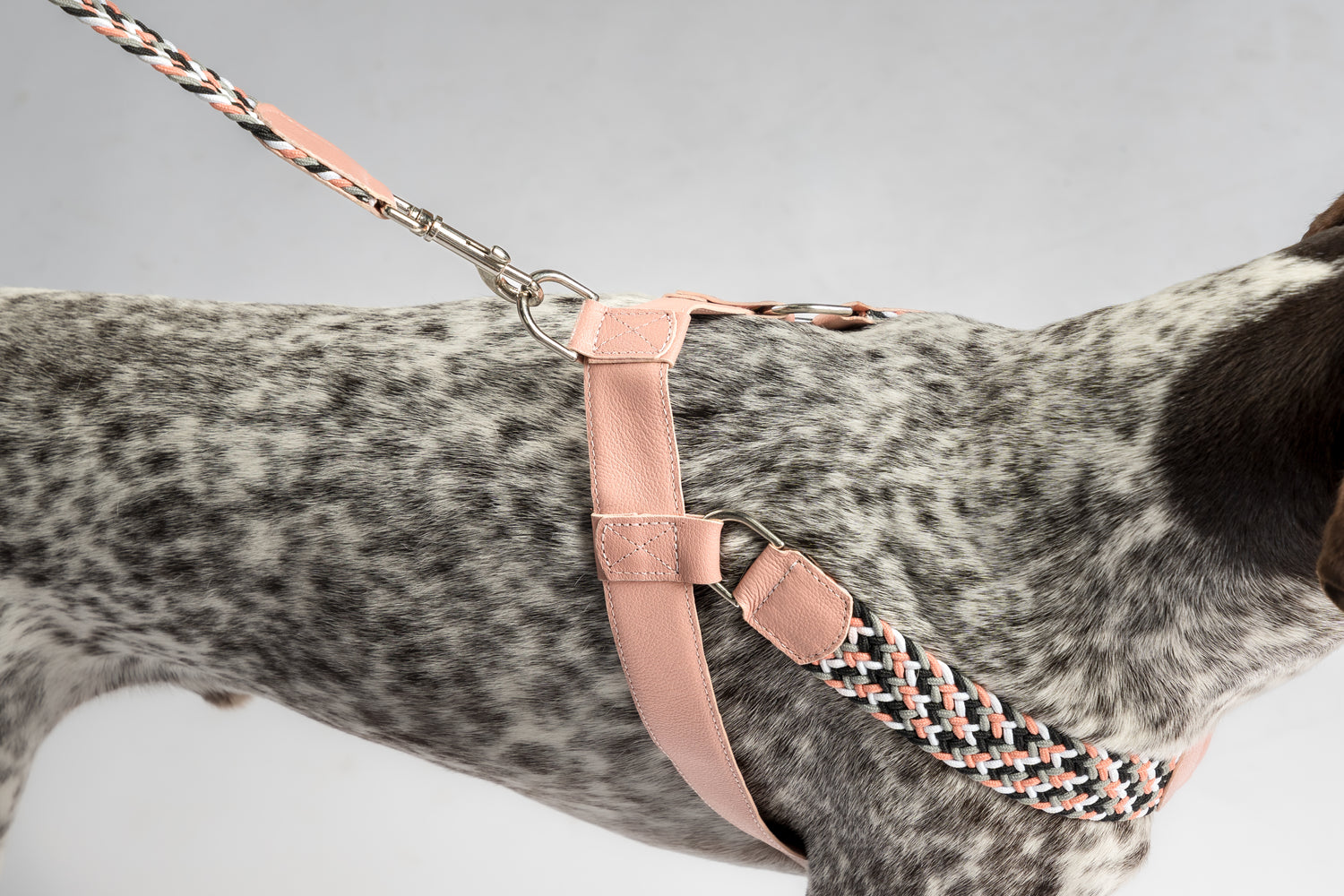 NIMBUS HARNESS - PLAID PINK