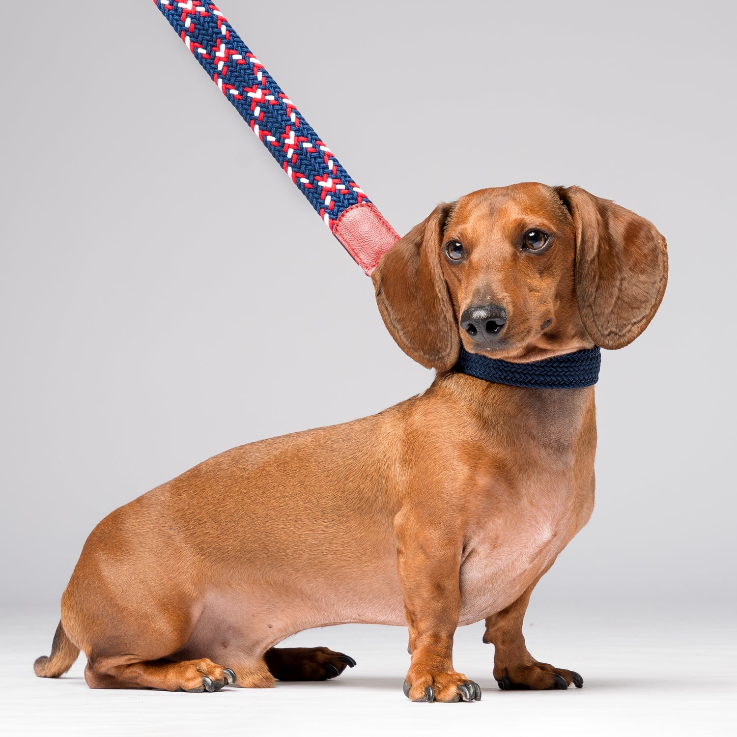 CASCADE COLLAR - NAVY BLUE