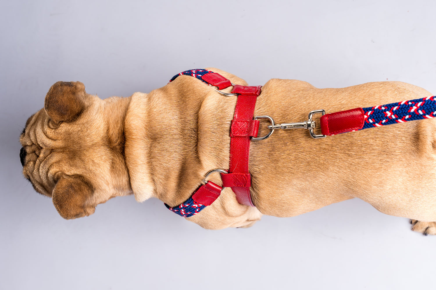 NIMBUS HARNESS - PLAID NAVY BLUE