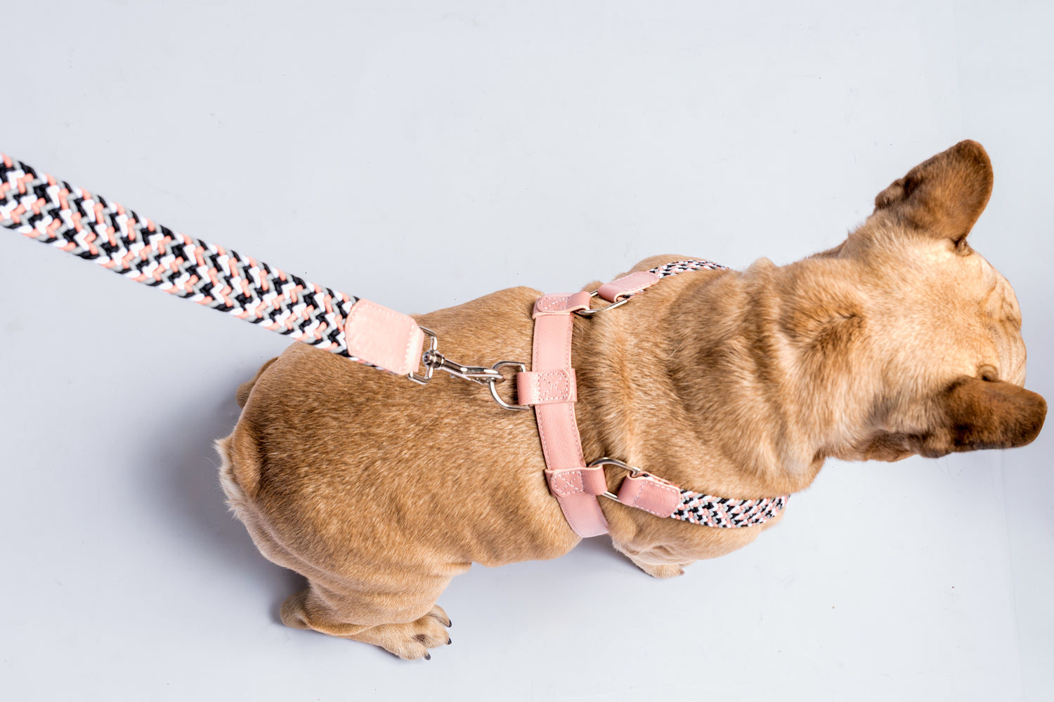 NIMBUS HARNESS - PLAID PINK