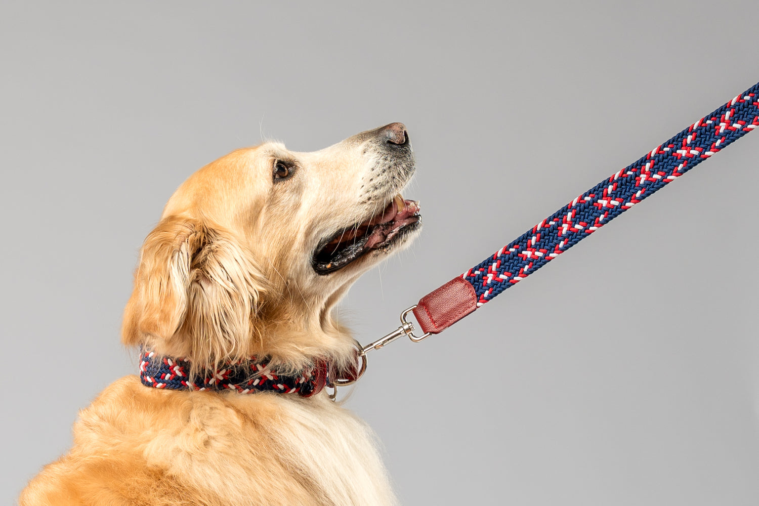 SAVANNAH LEASH - PLAID NAVY BLUE