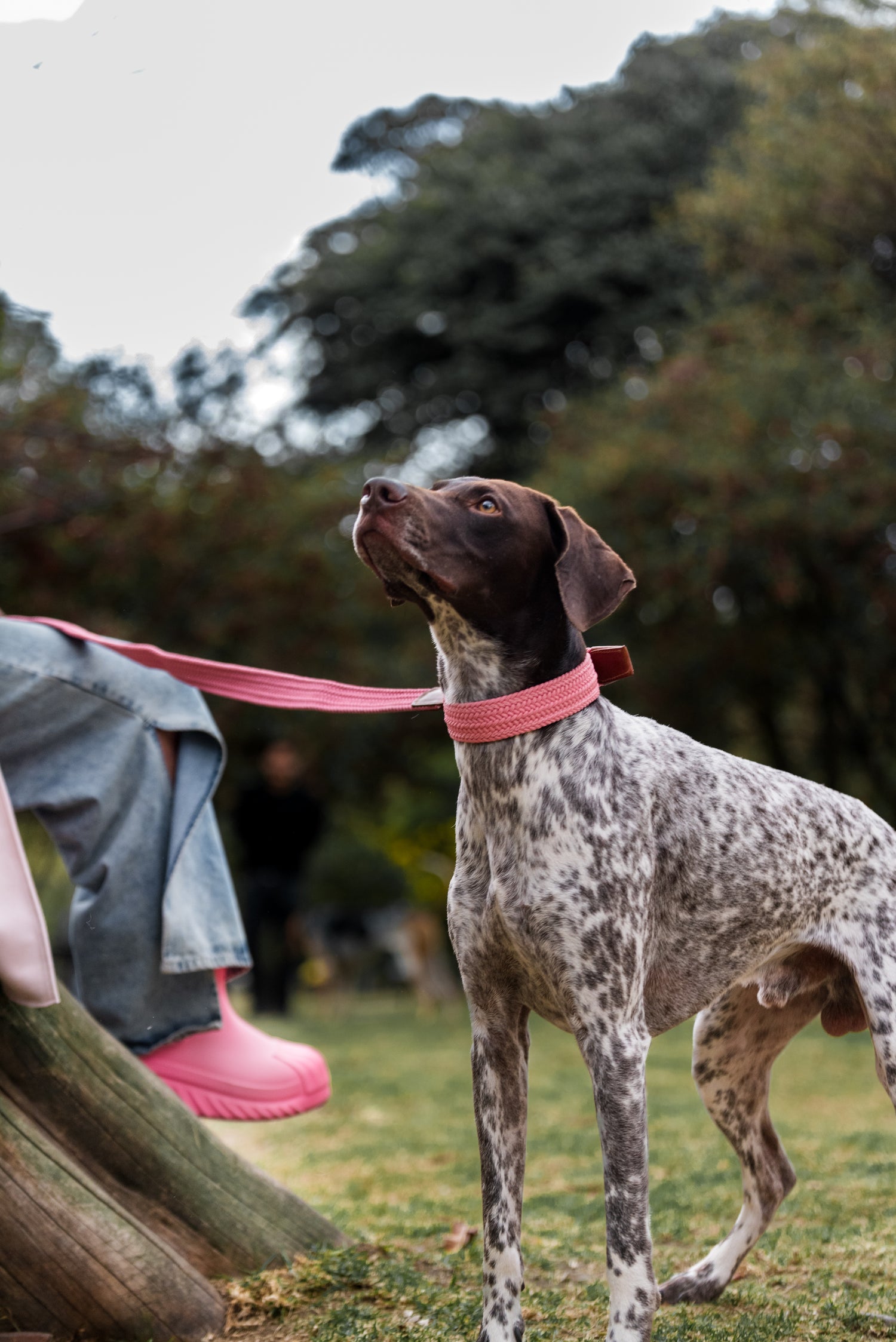 SAVANNAH LEASH - PASTEL PINK