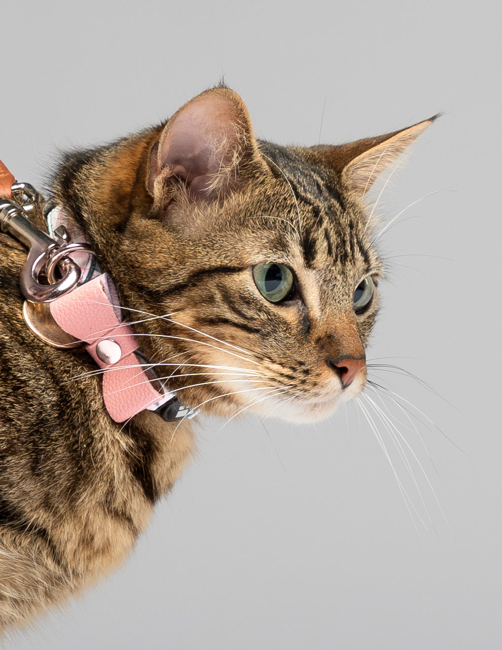 MARIGOLD COLLAR - FLOWERS