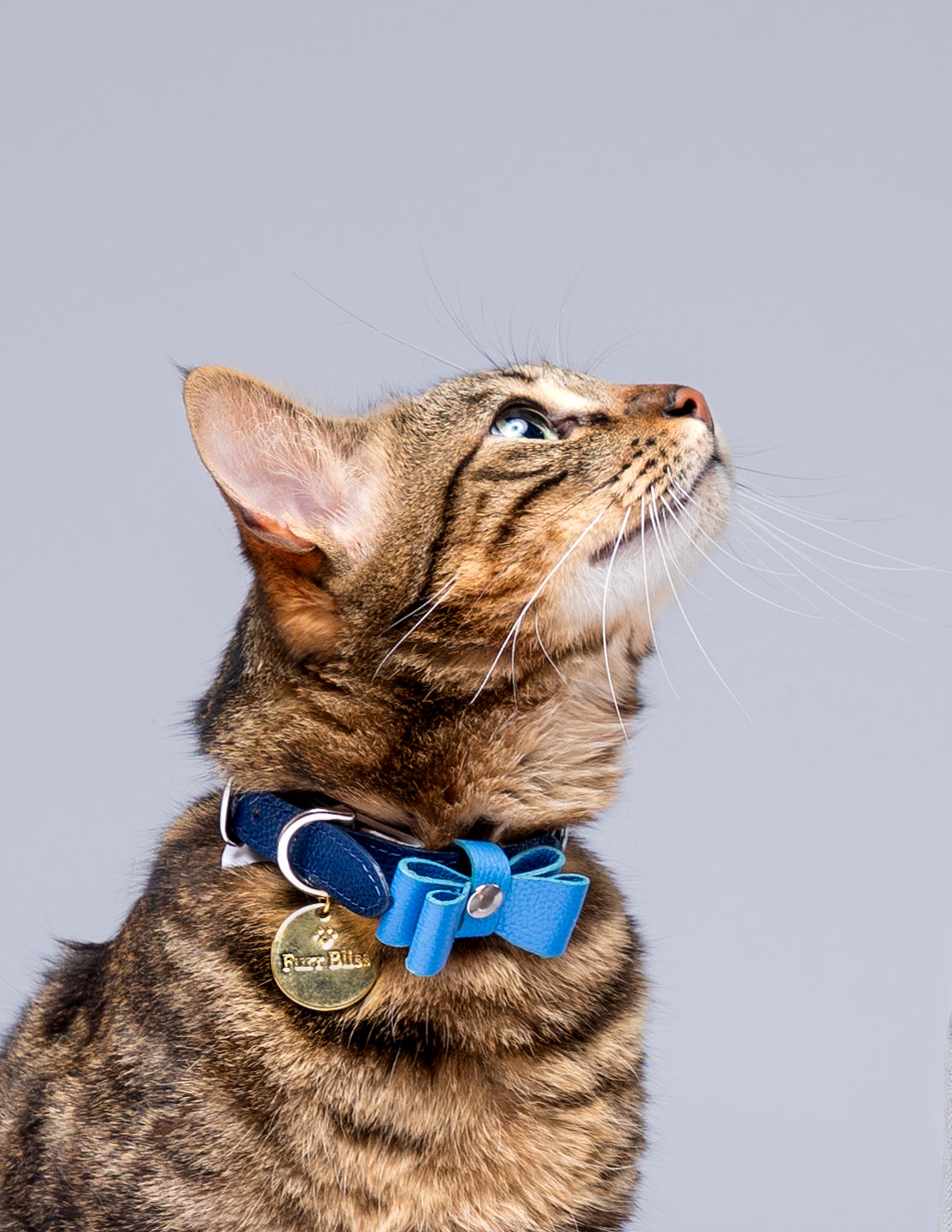 MARIGOLD COLLAR - BLUE