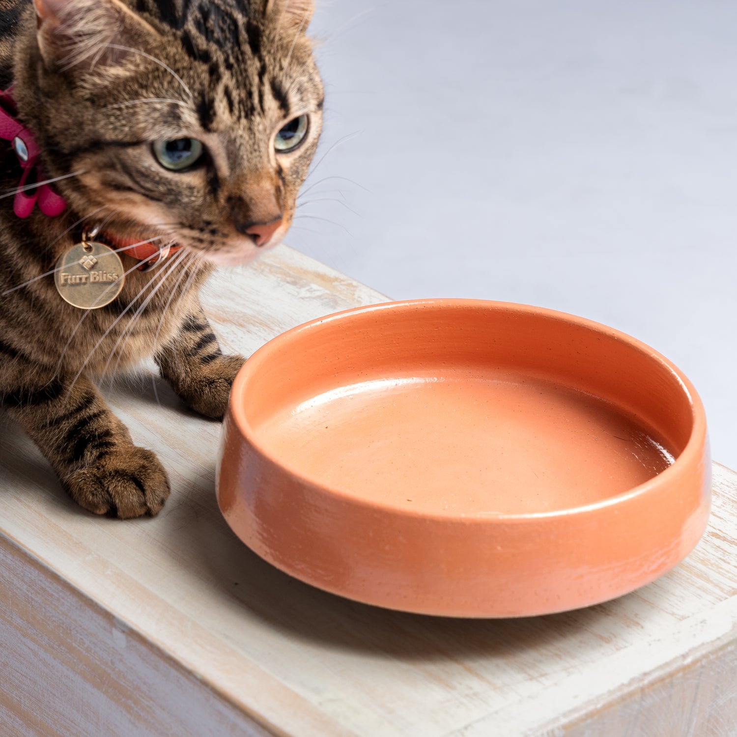 MARIGOLD COLLAR - ORANGE