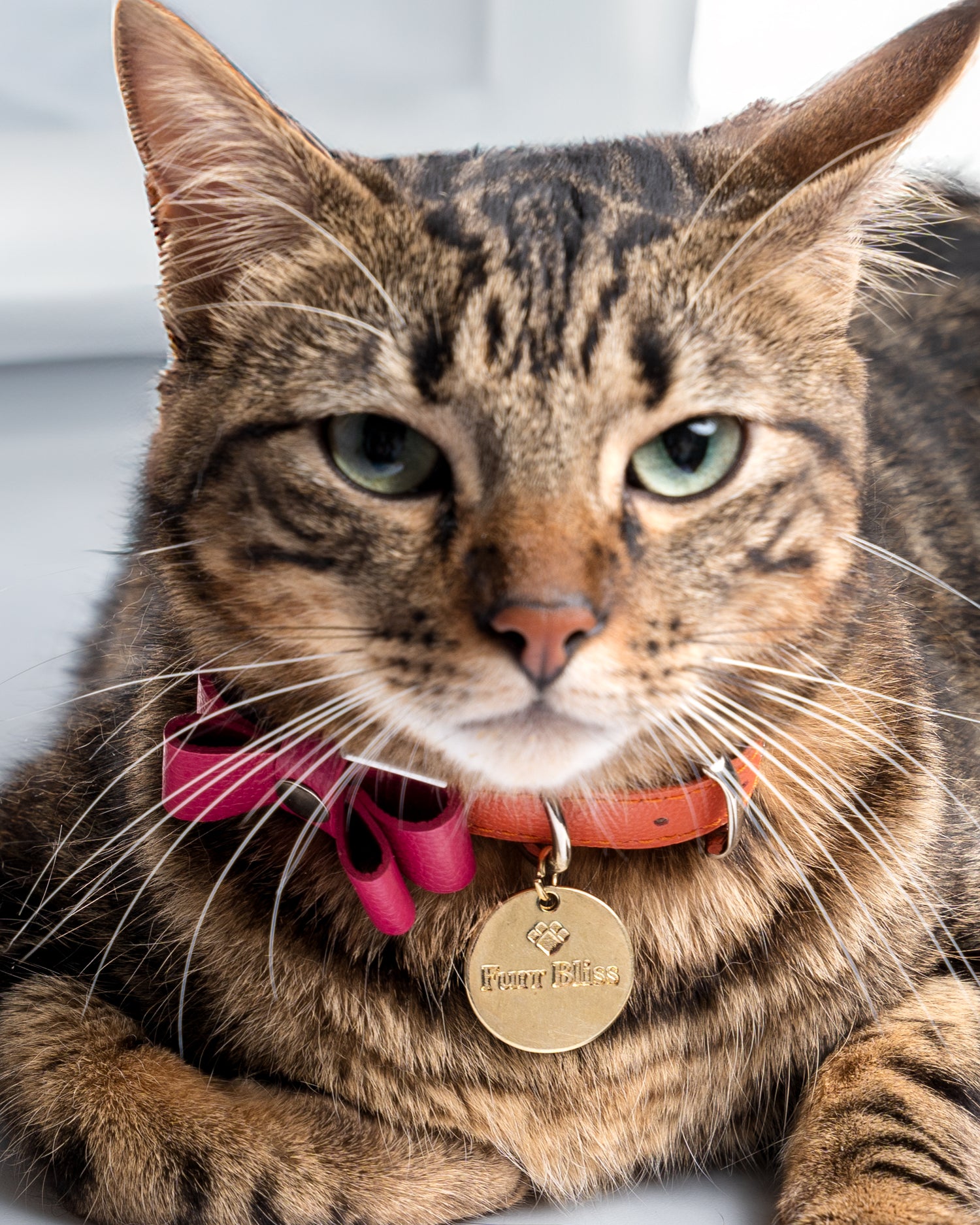 MARIGOLD COLLAR - ORANGE