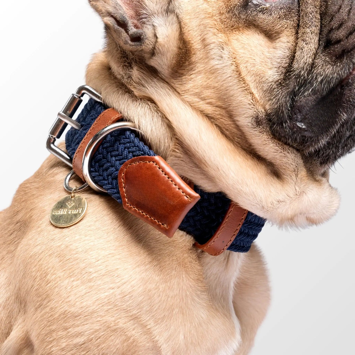 Elegant dog collar with a personalized metal name tag, featuring a durable buckle and stylish braided pattern. Designed for small, medium and large dogs.