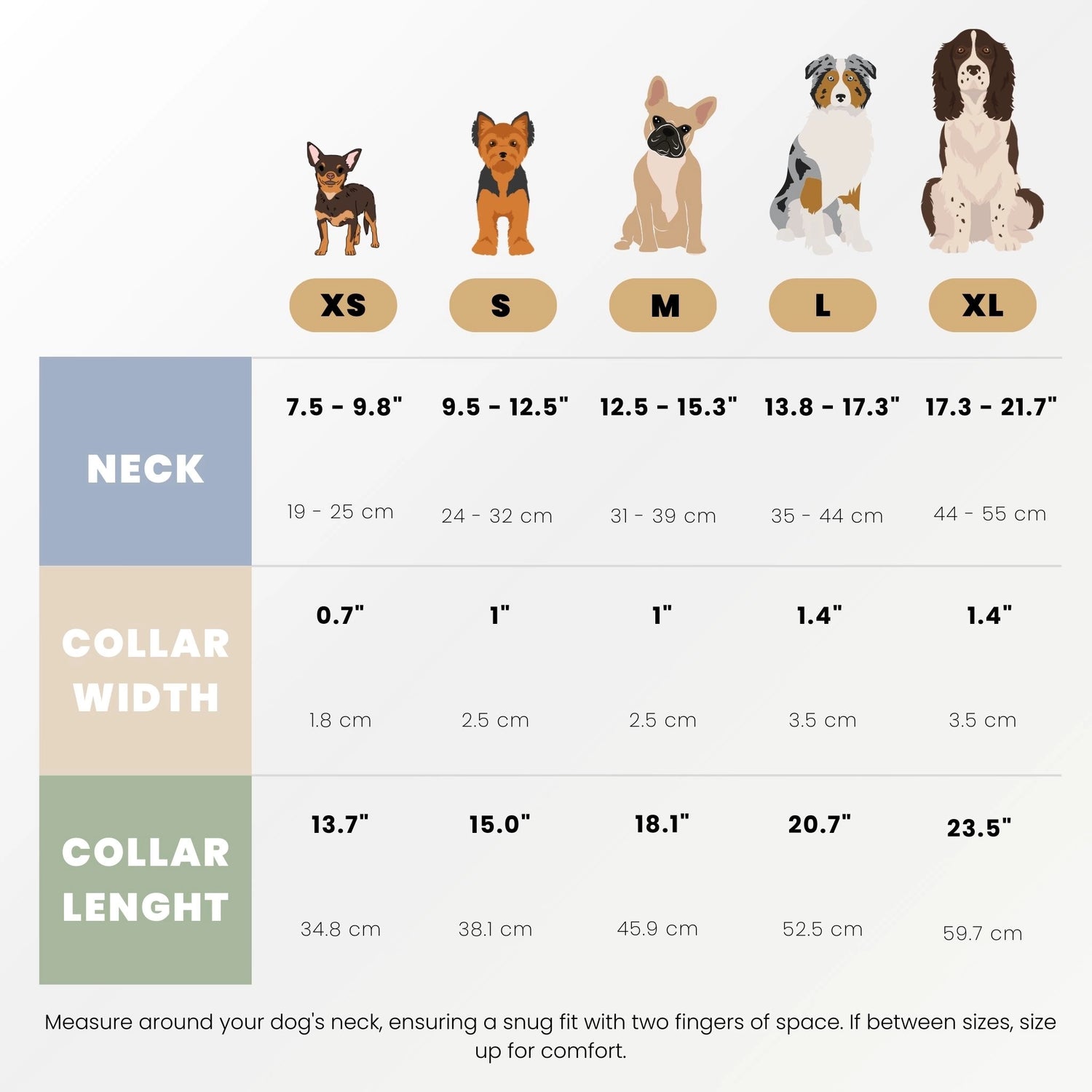 Dog collar size chart to help find the perfect fit for small, medium, and large dogs. Includes neck measurements and recommended sizes.