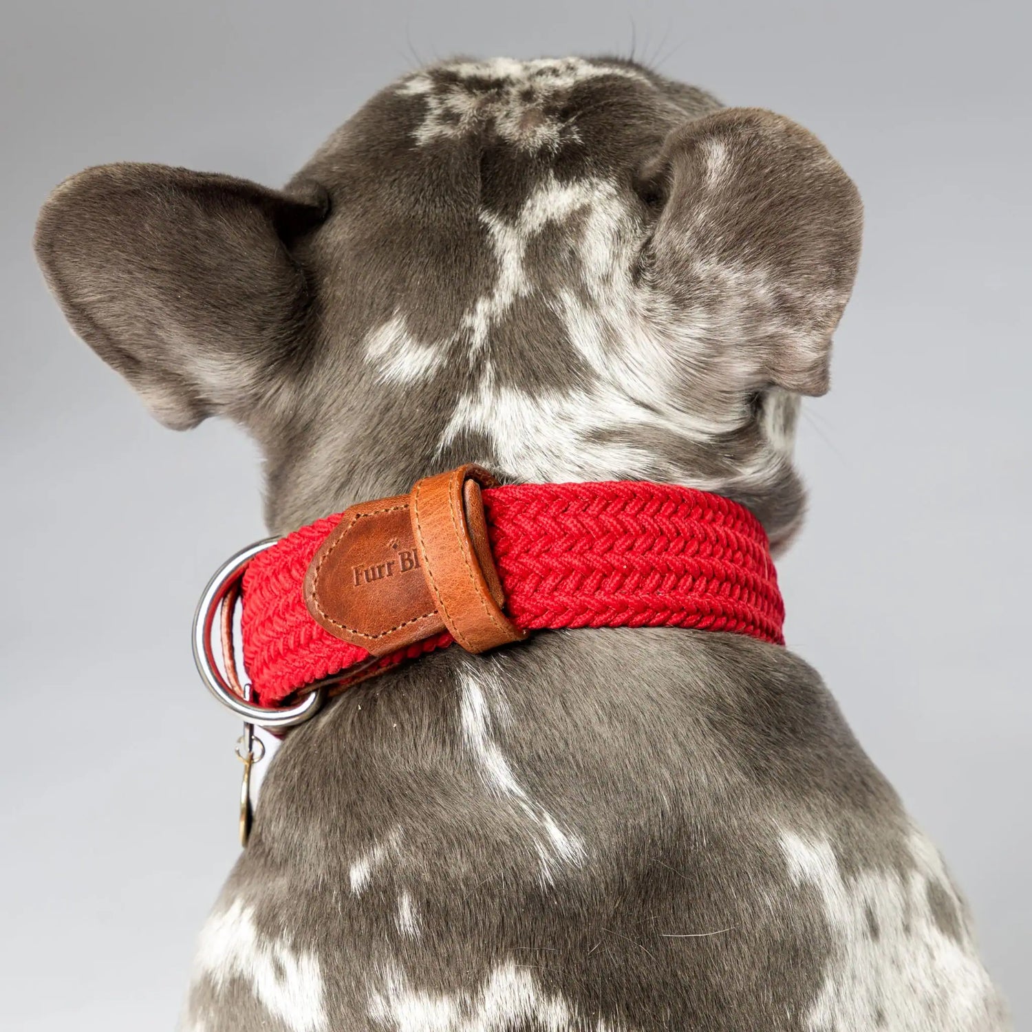 Durable no-pull dog collar and matching leash set, featuring a metal clasp and genuine leather details. Ideal for training and everyday walks.