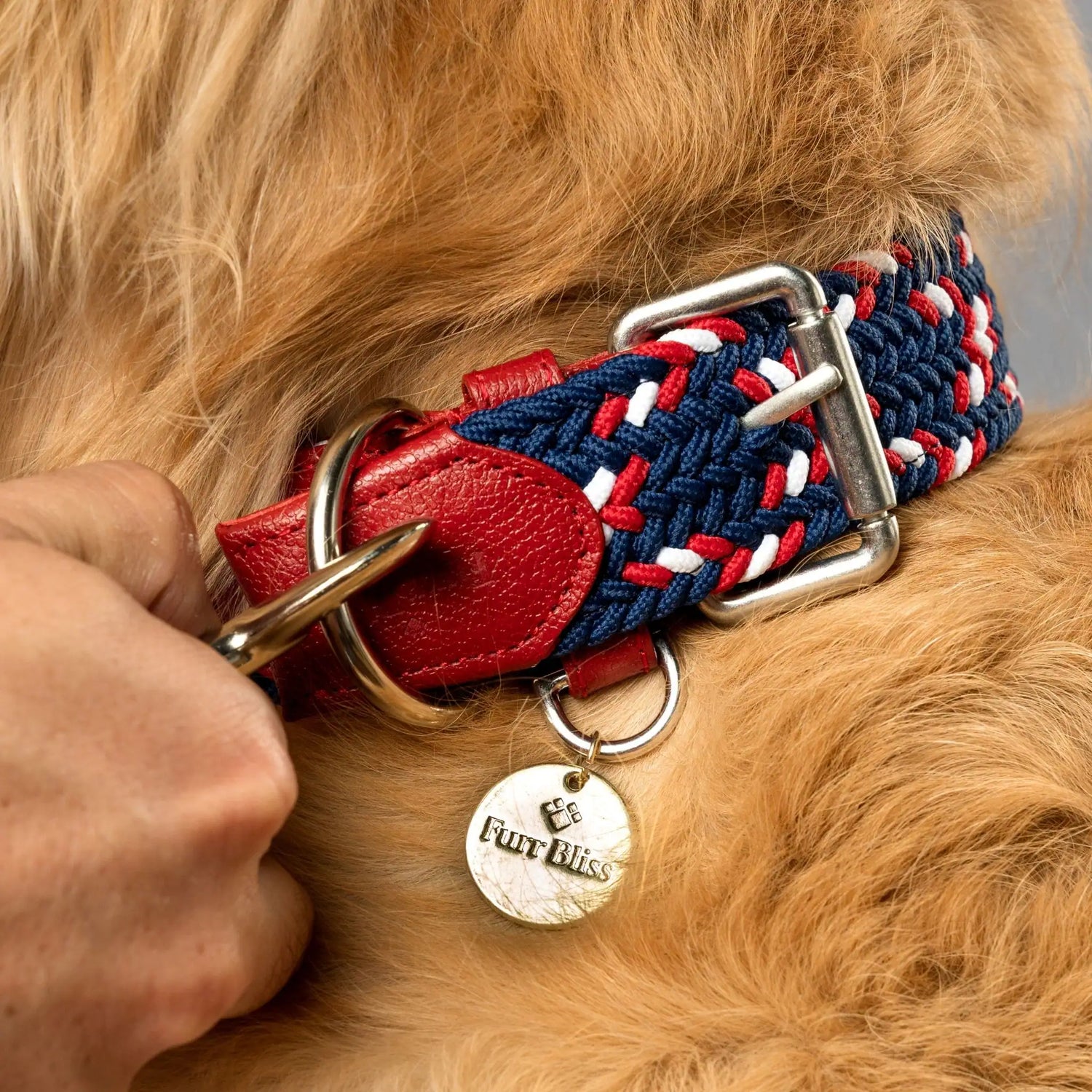 Durable no-pull dog collar and matching leash set, featuring a metal clasp and genuine leather details. Ideal for training and everyday walks.