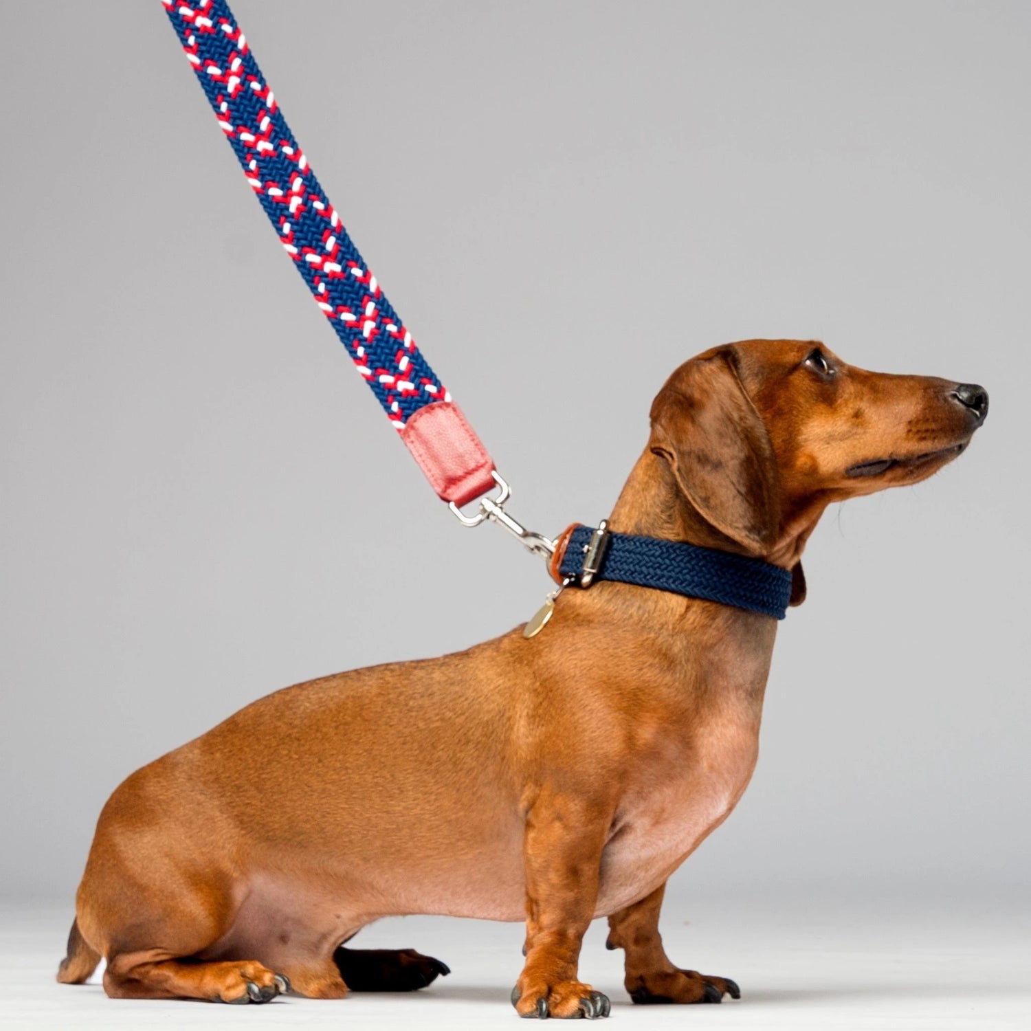 Durable no-pull dog collar and matching leash set, featuring a metal clasp and genuine leather details. Ideal for training and everyday walks.